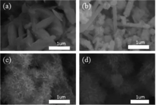 Fig. 3. FE-SEM image of Zn/SnO 2 by HDP : The ratio [Zn 2+ ]: