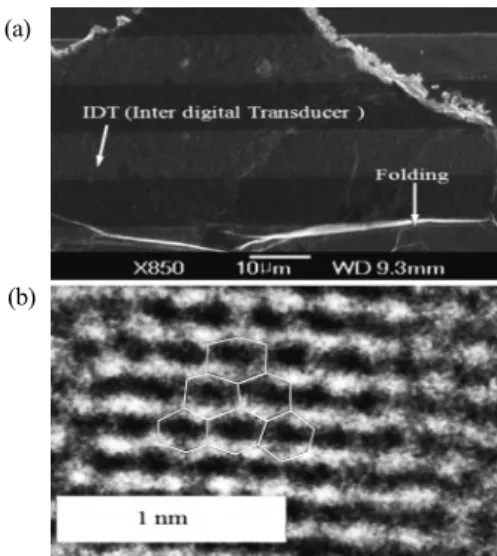 Fig. 7. SEM image of Au electrode deposited on the transferred graphene and I-V curve.