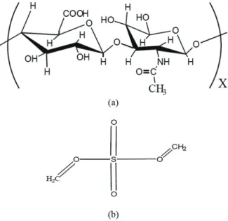 Fig. 2. Chemical crosslinking of HA with DVS.