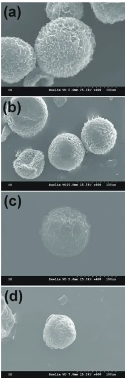 Fig. 3. Diameter of HA microbeads crosslinked in different pH. 