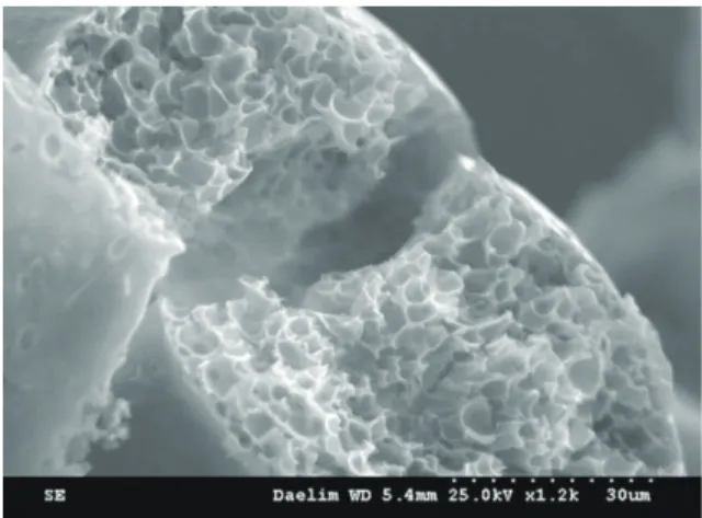 Fig.  6. (a) SEM image of dried HA microbeads prepared at pH 11.5 and (b) optical photography of swollen HA microbeads in distilled water.