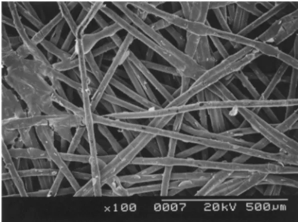 Fig. 2. SEM of chemical Nickel and Copper plating layer on PET fabric structure (Rip-Top).