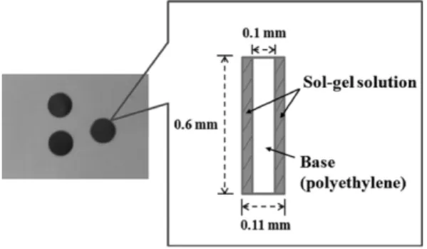 Fig. 1. Photograph and structure of a fabricated pH sol-gel film using neutral red.