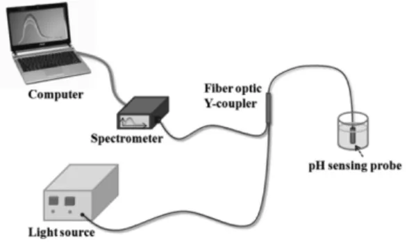 Fig. 4. Relationship between the pH values and the absorbance spectra.