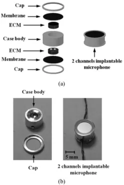 Fig. 5. Front view and side view of the experimental model.
