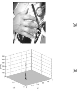 Fig.  2. Hand pixel distribution: (a) Hand image, (b) Hand pixel distribution on the <r, g> color plane
