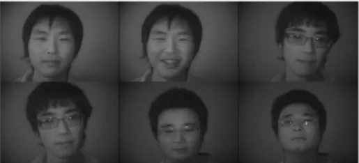 Fig. 5. The various sample facial images from the NIR face database.