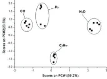 Fig. 5. Scores plot of a PCA on gas data using the SnO 2 /Pt gas sensor array.