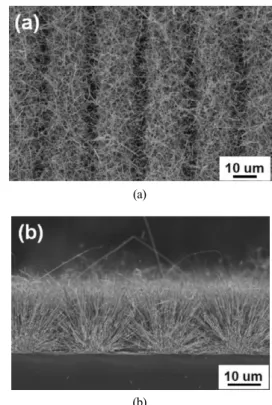 Fig. 1a and 1b show the plan- and the cross-section views of the networked SnO 2 nanowires, which demonstrate the formation of networked junctions on the PIEs by the selective growth method