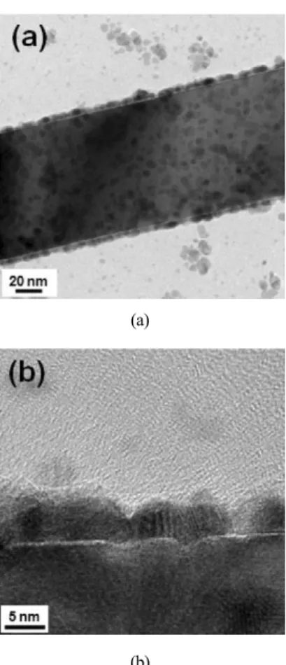 Fig. 3. TEM images of the Pd nanoparticles on the surface of the SnO 2 nanowires at (a) low and (b) high magnification.
