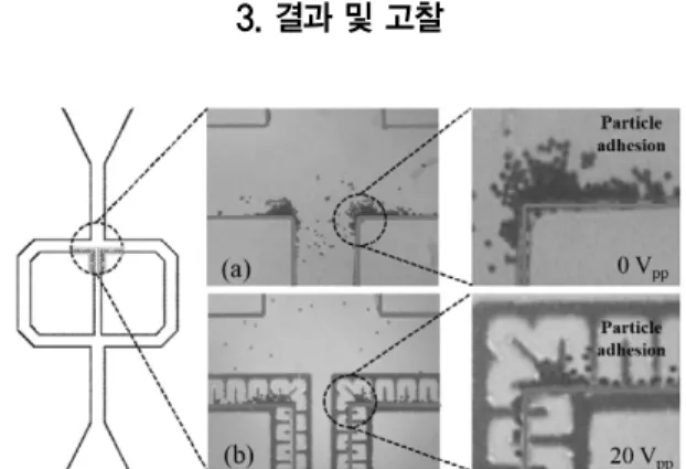 Fig. 7. Particle adhesion in microfluidic channel (a) Without electric potential, (b) 20 V pp .