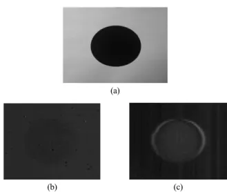 Fig.  7  shows  experimental  results  of  the  difference between a non-modified image and a modified image