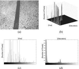 Fig. 3. Example  when  Otsu’s  method  fails:  (a)  Original  image,  (b) Histogram on the H-S color plane, (c) Histogram of H values, (d) Histogram of S values.(c) (d) (2.a) (2.b)(2.c)(2.d)