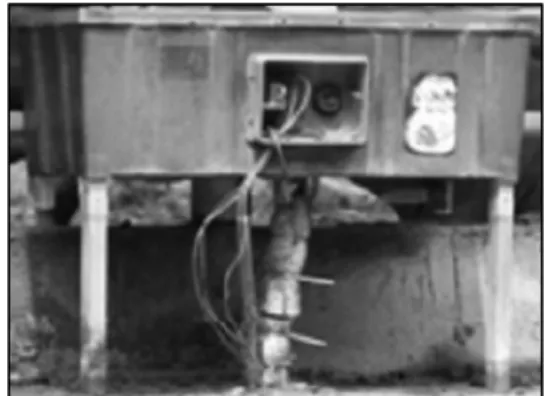 Fig. 1. AWM exposed at external environment in livestock.