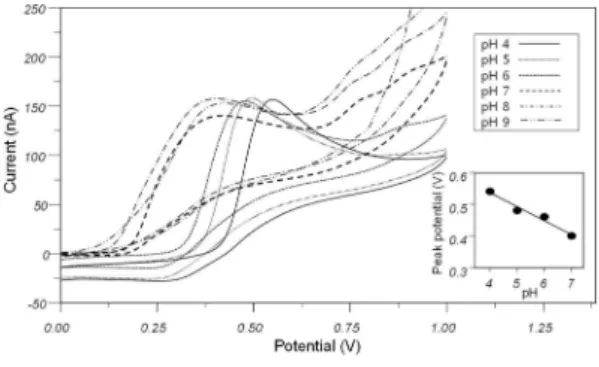 Fig. 2 shows examples of cyclic voltammograms for PVA-SbQ(ARS)-SPCEs that were modified with a series of ARS concentrations