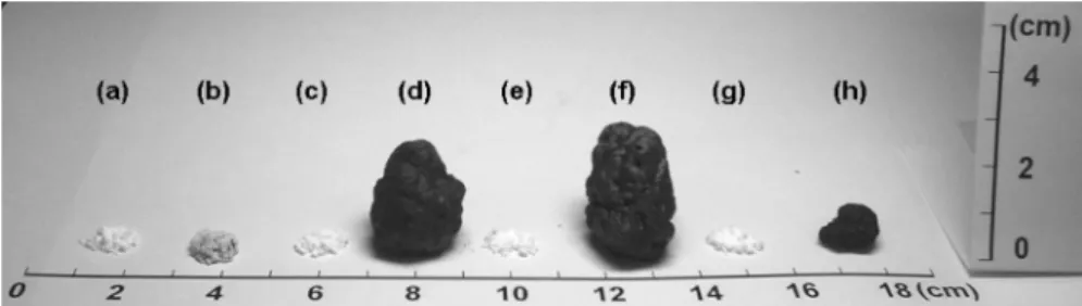 Fig. 7. Photos of IFRs(50 mg) before(a, c, e, g) and after(b, d, f, h) exposure to flame(550 ℃ ); MP(a, b), MP-PER(c, d),  MP-DiPER(e, f), MP-THEIC(g, h).