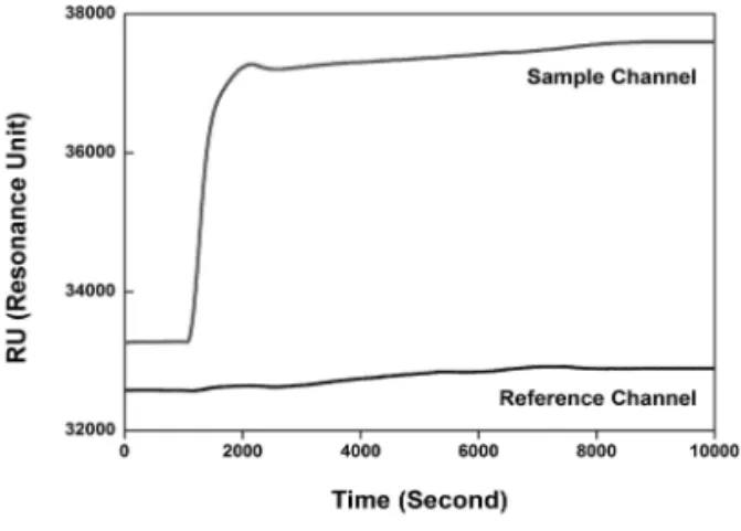 Fig. 6.  Actual signal due to sequence injection of anti-  CRP, BSA, 500 ng/ml of PSA and 10 µg/ml of  CRP.