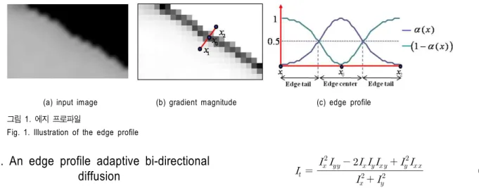 Fig.  1.  Illustration  of  the  edge  profile