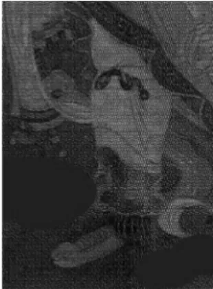 Fig. 7.  석굴암  사천왕  조각상.         Fig.  8.  고려  지장보살도  부분도.   Fig. 9.  돈황  제158굴,  중당  열반변상도.