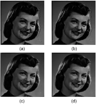 Fig. 11.  256   ×   256 Super-resolution reconstruction images,  (a) IBP method, (b) RS method, (c) standard PG  method, (d) proposed method