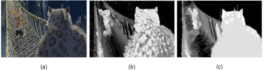Fig.  5.  Process  of  segmentation  and  depth  value  aligning  (a)  segmentation  (b)  depth  information  (c)  aligning  mean  value