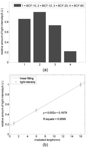 Fig. 2. Experimental setup using a Co-60 source.