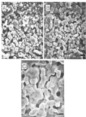 Fig. 3. Resistance and B constant of the Mn-Ni-Co thick films as a function of sintering temperature