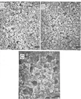 Fig. 11. XRD patterns of the Ba 0.5 Sr 0.5 TiO 3  thick-films that were (A) dried and subsequently sintered at (B) 1100 o C, and (C) 1200 o C.
