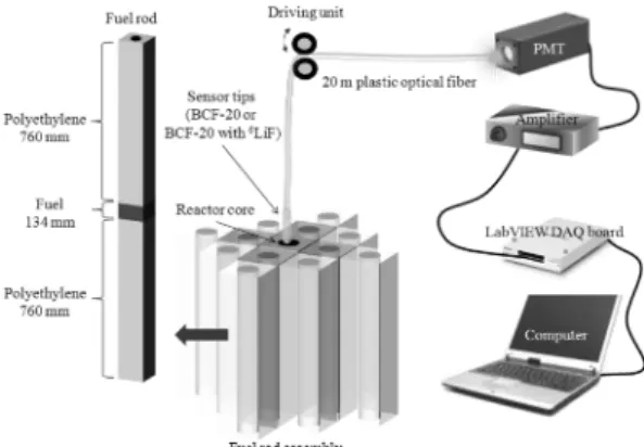 Fig. 4. Experimental setup for measuring the distributions of thermal neutron and gamma.