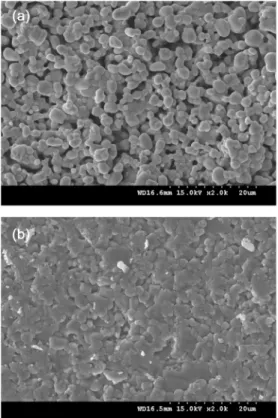 Fig. 4. Gas-sensing properites of WO 3  to NO.