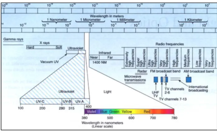 Fig. 1. Light and Color Wavelength