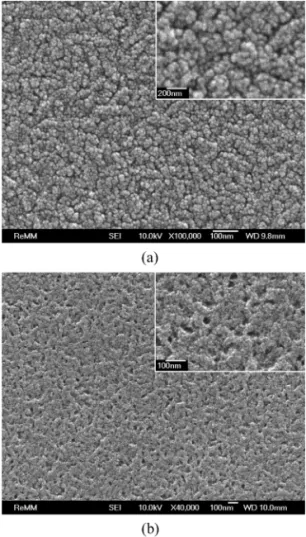 Fig. 3.  Surface SEM images of anodized 3C-SiC thin film  with pre-exposure time; (a) 10 sec, (b) 30 sec.