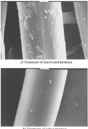 Fig. 7은 Bacillus subtilis K-54가  생산하는  혈전용해효소를 처리한  양모섬유의  효소처리  시간별  모듈러스  변화를  나타낸 것이다