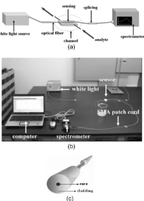 Fig. 5. (a)Schematic of the optical setup, (b)Image of the optical setup, (c)Structure of sensor.