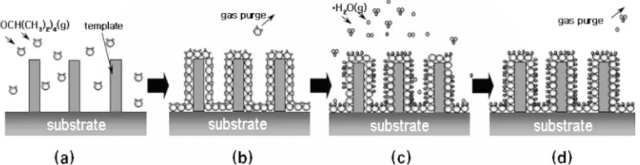 Fig. 3.  Nanostructures of two-types (a)groove, and (b)  cylinder.