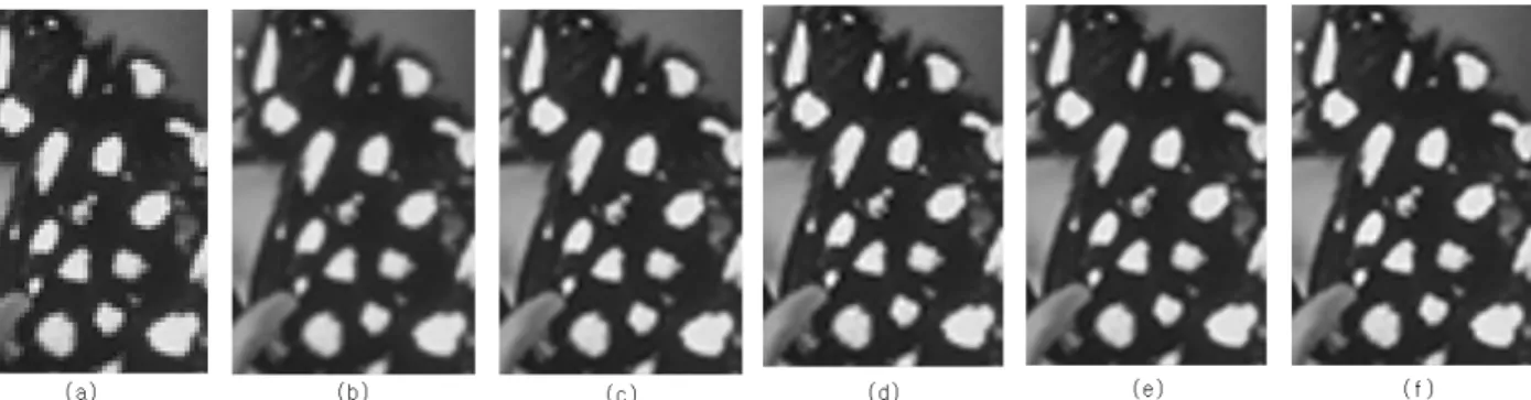 Fig.  2.  a  part  of  the  magnified  butterfly  image  by  (a)  nearest,  (b)  bilinear,  (c)  bicubic,  (d)  Han's  bicubic[8],  (e)Mori's  bicubic[6]  and  (f)  proposed  adaptive  bicubic  상에서  적응적 알고리즘이 더 좋은 성능을 보임도 알 수있다.2