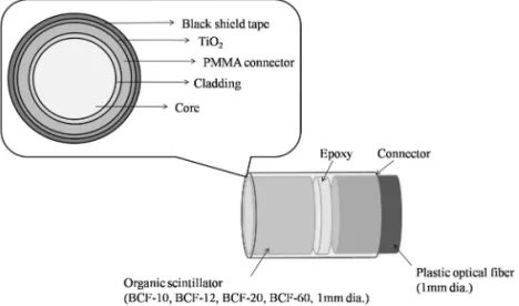 Fig. 1.  Schematic diagram of a fiber-optic radiation sensor tip with an organic scintillator.