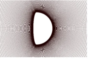 fig. 4 generated mesh