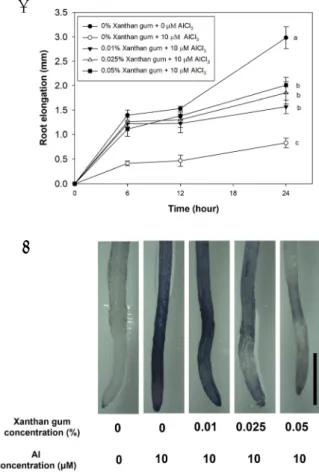 Fig. 1. Root elongation of Camelina under xanthan gum  and Al. Camelina grown on half-strength nutrition solution  for 4 days
