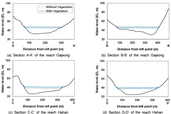 Fig. 4. Comparison of water levels across the river when the vegetation was removed (dashed lines) and maintained  (solid  lines)  at  the  maximum  water  level  during  the  flood  on  August  8,  2020
