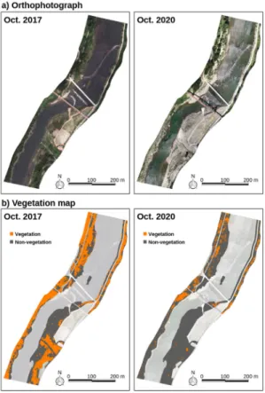 Fig.  7.  Changes  in  the  riparian  vegetation  at  the  study  sites  in  Hahan  after  the  occurrence  of  the  flood  on  August 8, 2020