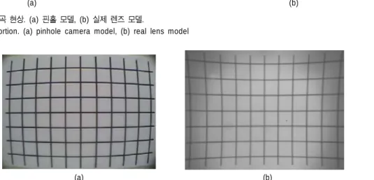 Fig. 2. Lens distortion. (a) pinhole camera model, (b) real lens model