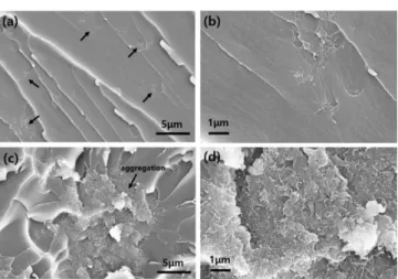 Figure  13.  FE-SEM  images  of  fractured  surfaces  of  epoxy compounds  filled  with  (a),  (b)  0.5  phr  and  (c),  (d)  1  phr  of  CNT (magnification  of  (a),  (c):  x10,000  and  (b),  (d):  x30,000)