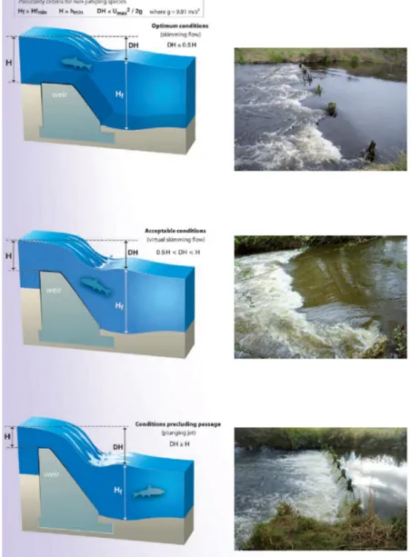 Fig.  2.  Longitudinal  connectivity  concept  of  ICE  method  (Baudoin  et  al.  2015).