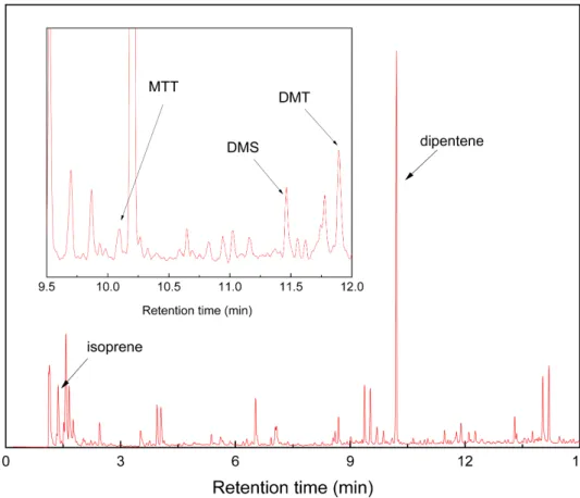 Figure  4.  Py-GC/MS  chromatogram  of  the  lip  surface  part  of  chlorinated  wiper  blade  rubber.