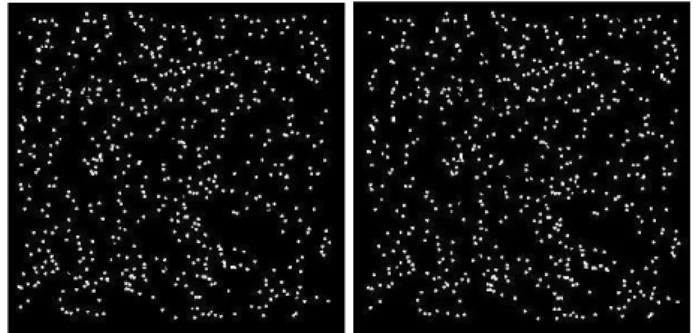 그림  3.  모양계수  s4 로  구성된  애너클리프  자극의  RDS  버전  자극  예  Fig 3. An example stimulus of a random dot stereogram version of  the anaglyph type stimulus simulating with the shape parameter s4