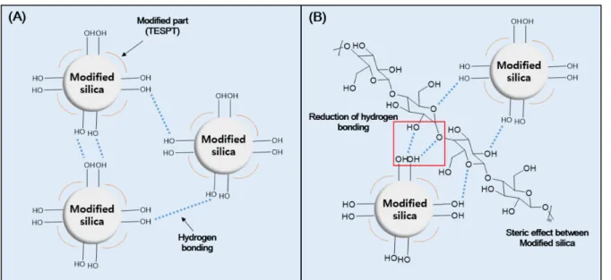 Figure  2.  Illustration  of  expected  filler  network  in  the  WMB  process:  (A)  where  a  residual  silanol  group  in  the  modified  silica  forms  a hydrogen  bond  and  (B)  where  a  cellulose  dispersant  interacts  with  silanol  group  in  th