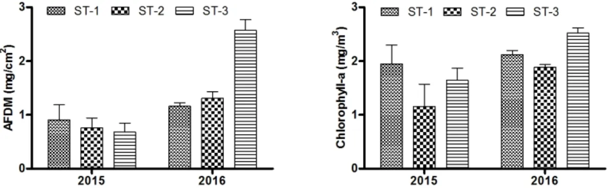 Fig. 1. Results of AFDM and Chlorophyll-a analysis for Periphytic Algae by section in Daecheong-stream.