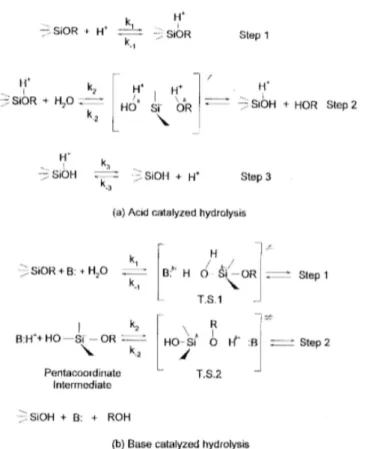 Figure 2. Effect of pH on hydrolysis mechanism for alkoxy silanes [adopted  from  ref
