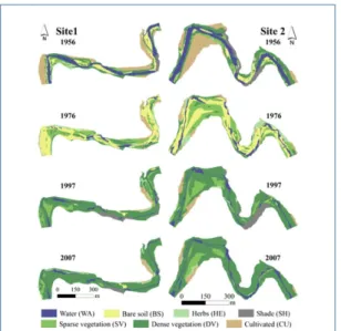 Fig. 2. Interactions among flow, sediment, morphology,  and vegetation (Groundwater is auxiliary added) (Adopted  from Solari et al’s Fig